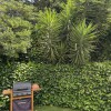 T3 Le Cabot (13009) - 62,12 m² - 349 000 € – photo 15/15